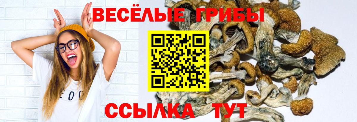 Псилоцибиновые грибы ЛСД Жигулёвск